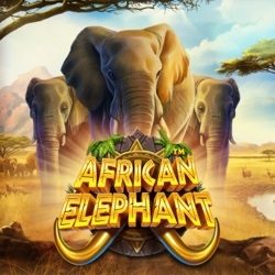 สูตรสล็อตเกม African Elephant